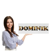 Tablica rejestracyjna lub mroźna pleksi, różne wymiary,Imienna + przyssawki