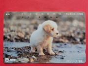 JAPONIA / STARA /    - Karta telefoniczna /  ODMIANA  /  PSY