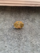 Przedwojenne okucie mosiężne do mebli