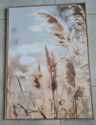 Obraz na płótnie 70x50cm, drewniana ramka, nowy, Canvas, łąka zboże