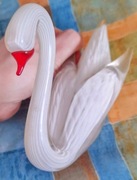 Biały Łabędź, lata 80, szwecja, szkło artystyczne, kryształowa figurka BCM!