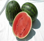 Nasiona arbuza Zengo F1 