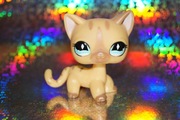 Littlest Pet Shop #886 shorthair LPS oryginalny pop oryginał Hasbro