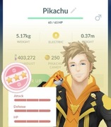 ZŁAPANIE 1x 100% iv Hundo POKEMON GO 