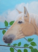 Obraz - Koń na tle nieba