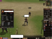 Metin 2009 Woj 45 lv z 87.5kk wraz z szamanką 39Lv po ślubie