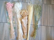 Zestaw DIY Suszki traw, do palm wielkanocnych 