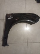 Błotniki przednie Scenic II