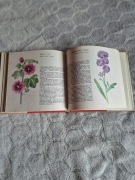 Kwiaty Letnie, J Krejča & Klimo, 1984 -  Piękne Ilustracje!