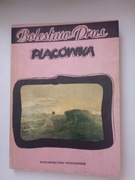 Placówka - Bolesław Prus 