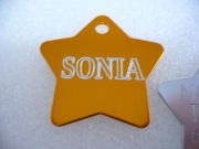 Adresówka dla psa kota grawerowany znaczek identyfikator z numerem telefonu