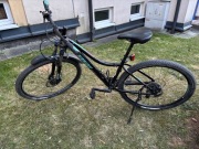 Trek Cali S 29-er 2016 damski rower górski