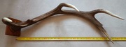 Solidne Poroże Jelenia – 1,1 kg | 70 cm – Piękny Okaz Vintage / Loft