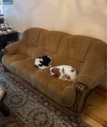 Zestaw kanap - kanapa, sofa, fotel