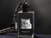 Persian Cat brelok sześcienny Świecący