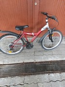 Rower młodzieżowy trendy 24"
