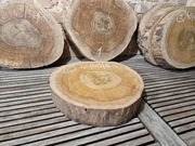 ORZECH CZARNY Amerykański 45/40/8 cm Wysuszony Blat Plaster Drewna Stolik