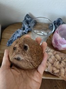 Naczynia do odlewania świec 