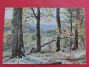 BIESZCZADY      -  Pocztówka  /  PEJZAŻ