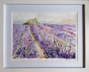 akwarela malowana ręcznie pole lawendy