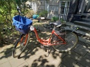 Maxim MC 1.6.3, koralowy, damski