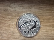 Moneta Ropucha Paskówka 20zł 20 zł 1998 rok oryginał srebro