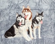 Koc Elway, gruby akrylowy 160x210 HASKY SZARE