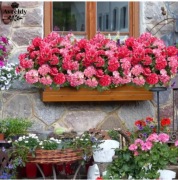 2 bukiety Realistyczne Sztuczne Pelargonie Sztuczne kwiaty 