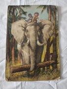 Vojtech Kubasta - Moko i Koko w dżungli 