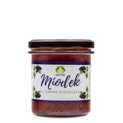 MIÓD z Czarną Porzeczką Pasieka Zaleska 420 g