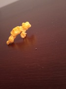 Maczuga Ichtiostega w formie maczugi kukurydzianej 