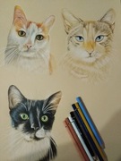 Portret KOTA PSA  KRÓLIKA  KILKU zwierzaków  ze zdjęcia   A3  na prezent