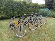 Rower Puma Sprick Zasada