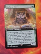 Owlbear Cub karta MTG