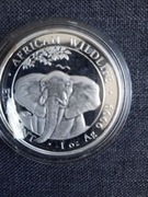 SŁOŃ SOMALIJSKI 1 OZ, PRÓBA 999,9 Ag STAN MENNICZY