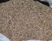 Sprzedam seradele 20kg