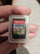 minecraft nintendo switch