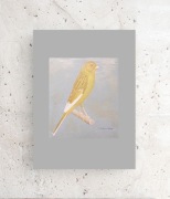 vintage plakat z kanarkiem, retro obrazek z ptaszkiem, kanarek plakat A4