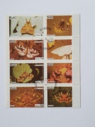 (1611)  blok motyle przesunięcie żabkowania pionow