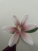 Lilia biało różowa z drucików kreatywnych