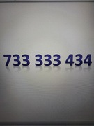 Złoty numer 733 333 434