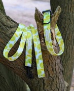 Obroża Sorrento taśma 2,5 cm L (45-56cm)