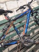 Rower Alpina Eco M10