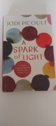 Jodi Picoult 'A spark of light'
