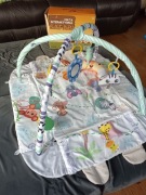 Mata interaktywna Safari