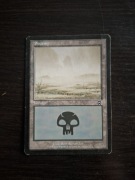 Swamp. Magic The Gathering 
