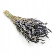 Bukiety z aromatycznej lawendy