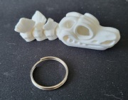 Czaszka kolorystyka biała 