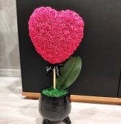 Piekne serduszko w doniczce ideaony prezent na wAl