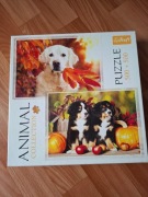 Puzzle TREFL 500 funny dogs, psy
